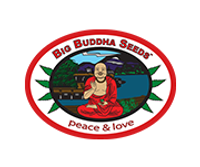 Big Buddha Seeds coupons